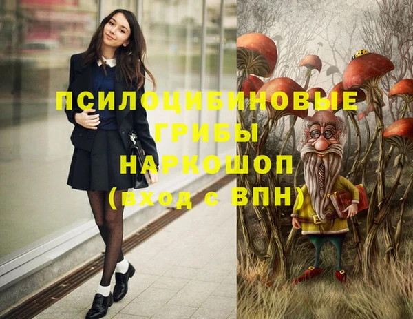 гидропоника Горняк