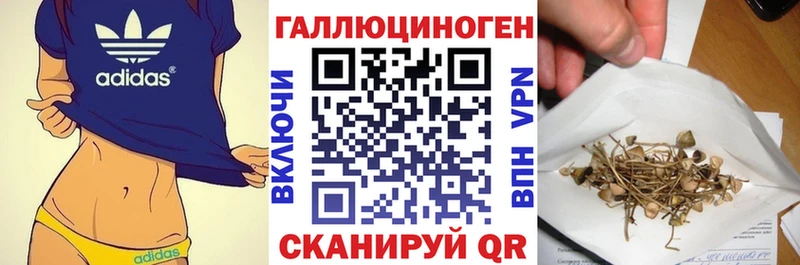 Псилоцибиновые грибы ЛСД  блэк спрут зеркало  Котовск 
